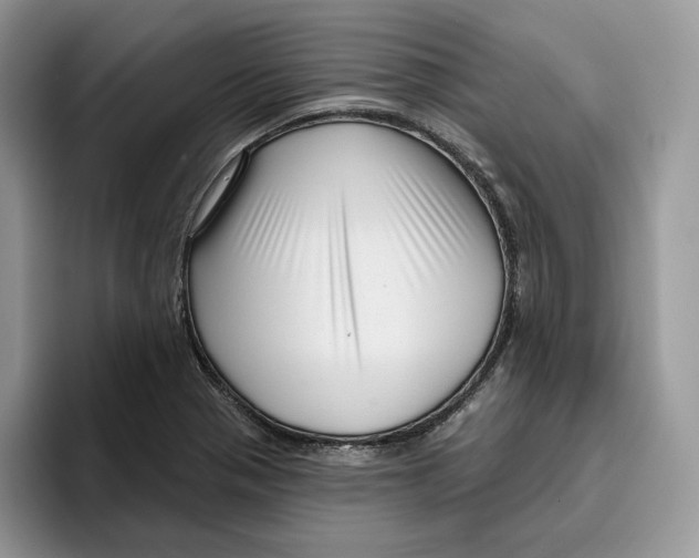 X0000095961321200802011114