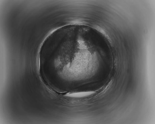 X0000095961323200802011114