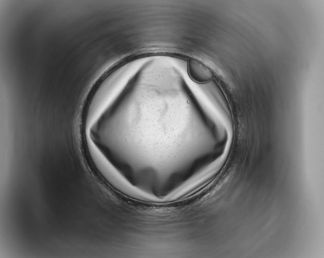 X0000095961325200802011114