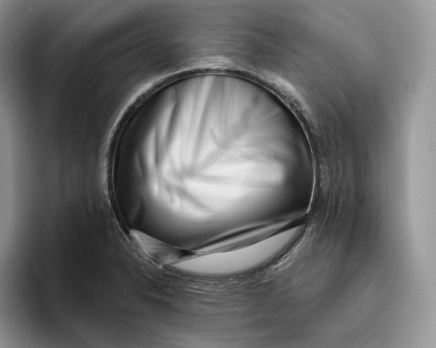 X0000095961326200802011114