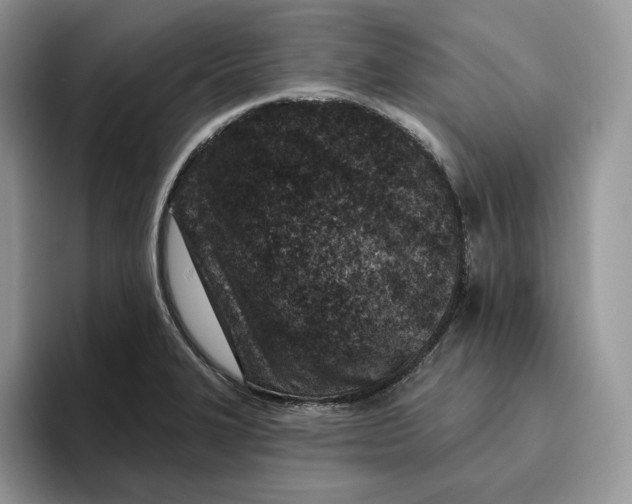 X0000095961327200802011114