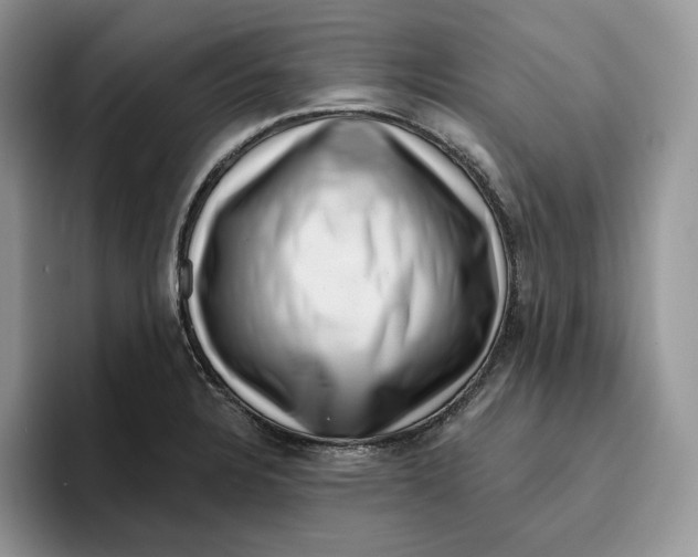 X0000095961328200802011114