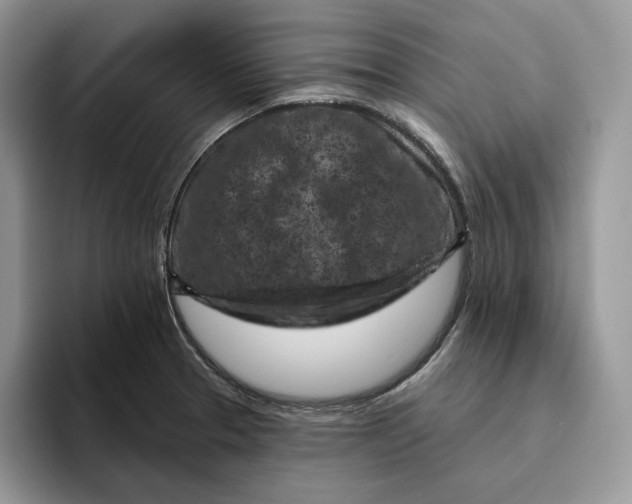 X0000095961329200802011114