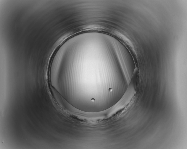 X0000095961330200802011114