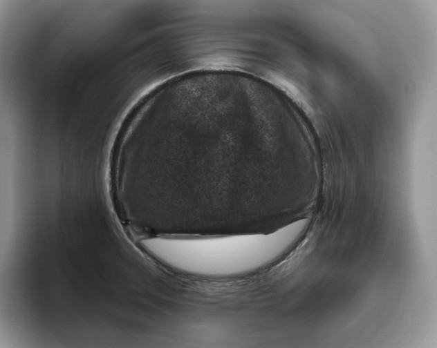 X0000095961331200802011114