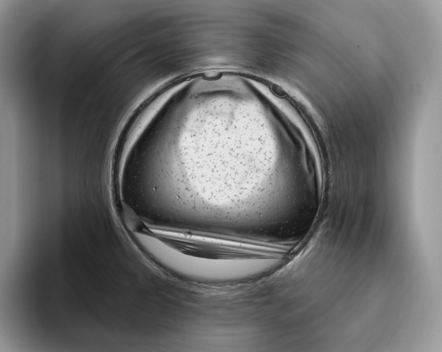 X0000095961333200802011114