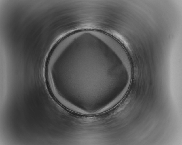 X0000095961334200802011114