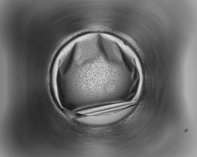 X0000095961335200802011114