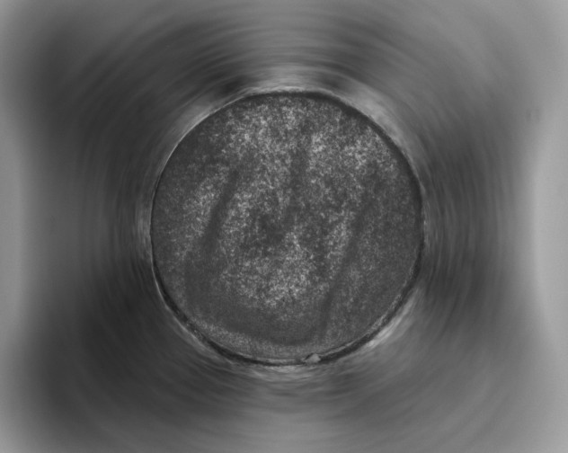 X0000095961337200802011114