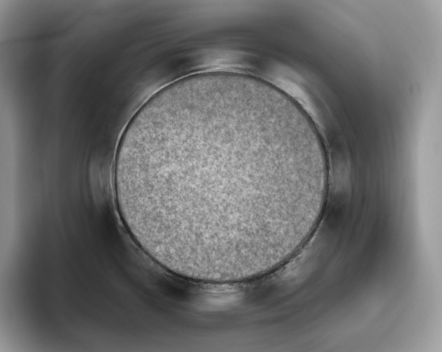 X0000095961338200802011114