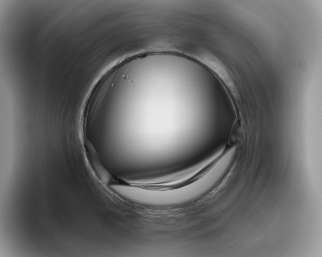 X0000095961342200802011114