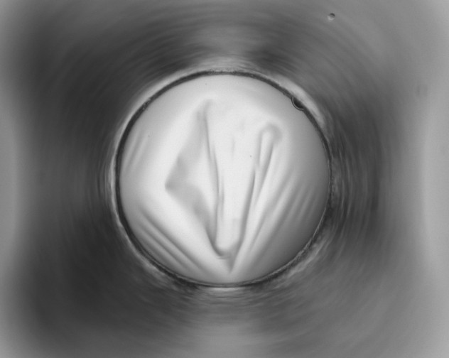 X0000095961343200802011114