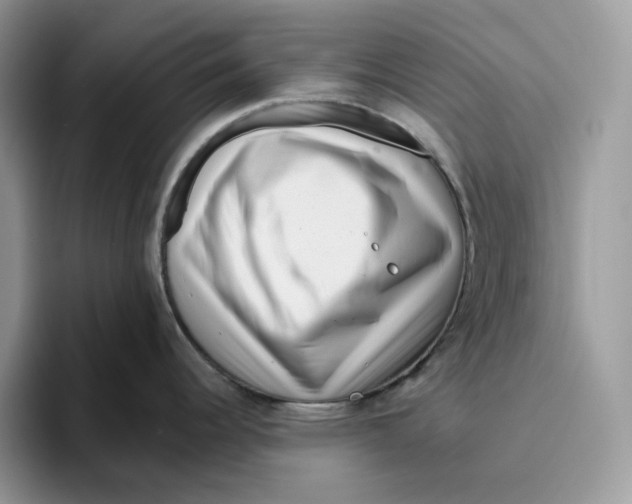 X0000095961344200802011114