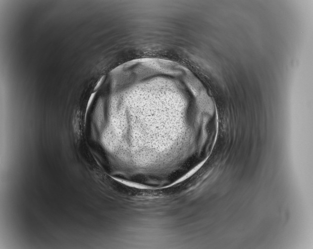 X0000095961346200802011114