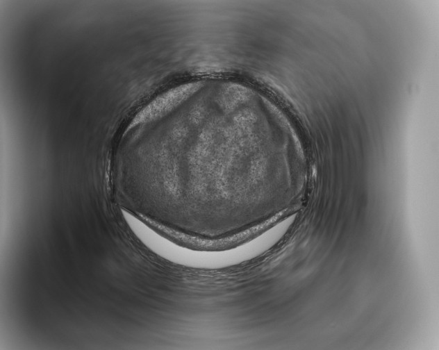 X0000095961348200802011114