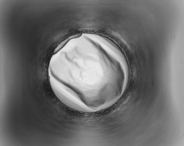 X0000095961350200802011113