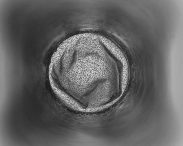 X0000095961351200802011113