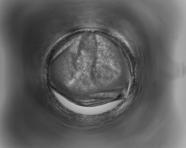 X0000095961352200802011113