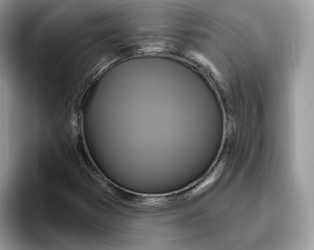 X0000095961353200802011113