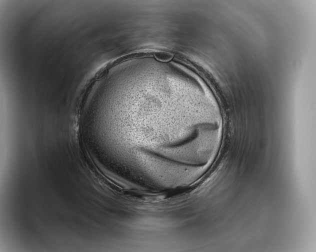 X0000095961355200802011113