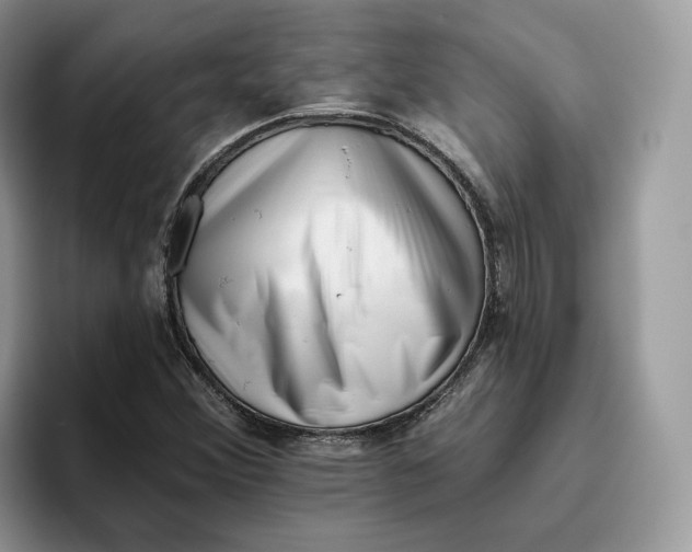 X0000095961356200802011113