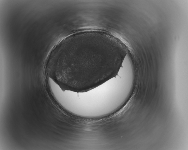 X0000095961357200802011113