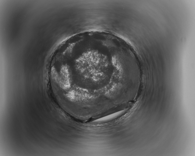 X0000095961359200802011113