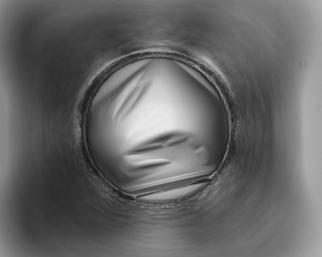 X0000095961360200802011113