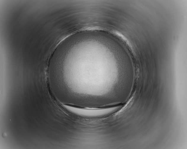 X0000095961361200802011113