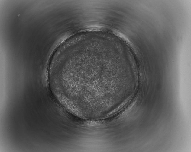 X0000095961362200802011113