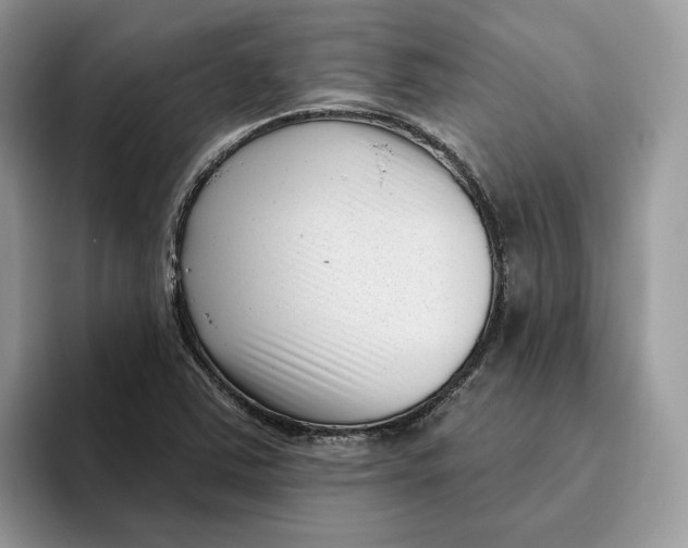 X0000095961363200802011113