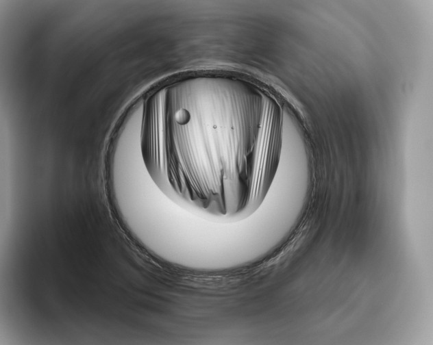 X0000095961364200802011113