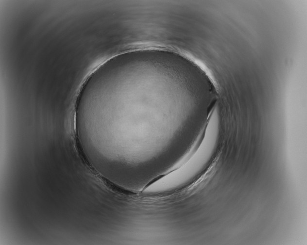 X0000095961365200802011113