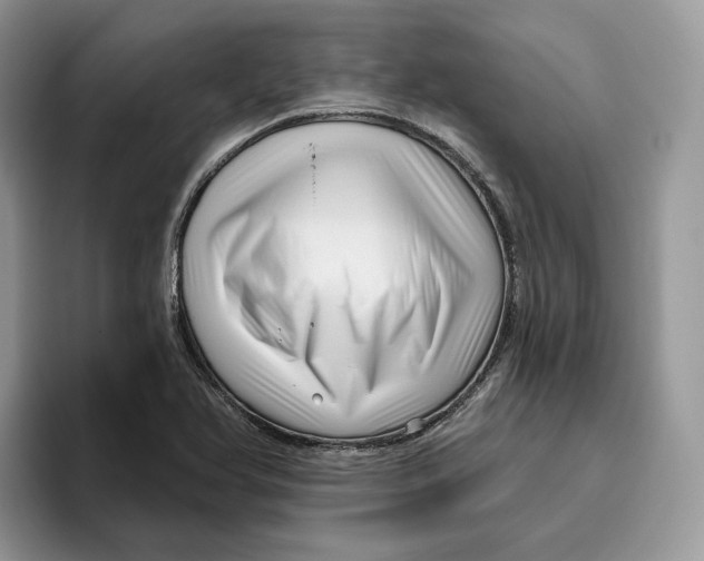 X0000095961366200802011113