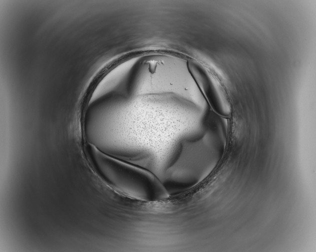 X0000095961368200802011113