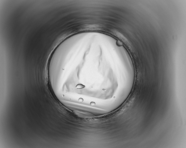 X0000095961370200802011113