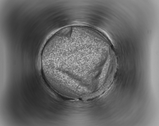 X0000095961371200802011113