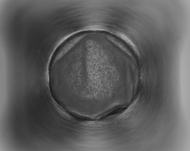 X0000095961372200802011113