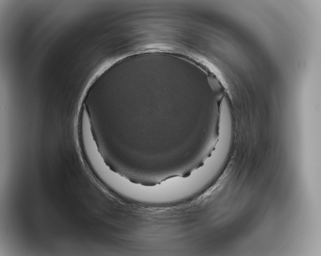 X0000095961373200802011113