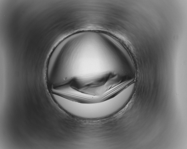 X0000095961374200802011113