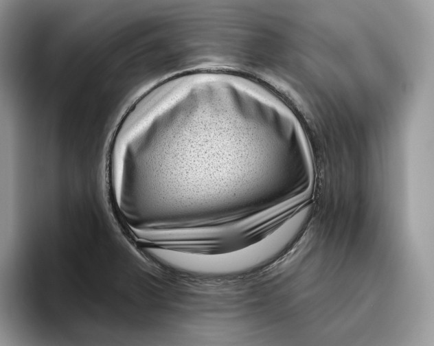 X0000095961375200802011113