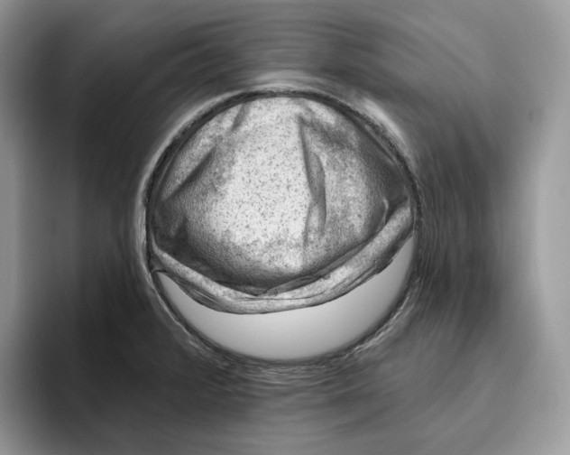 X0000095961376200802011113