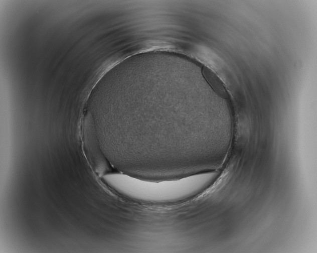 X0000095961377200802011113