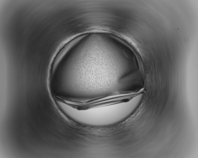 X0000095961379200802011113