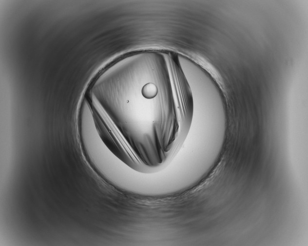 X0000095961380200802011113