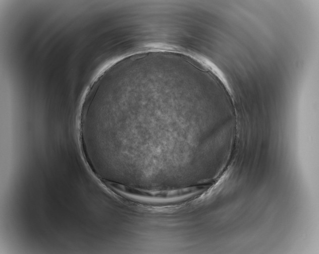 X0000095961381200802011113