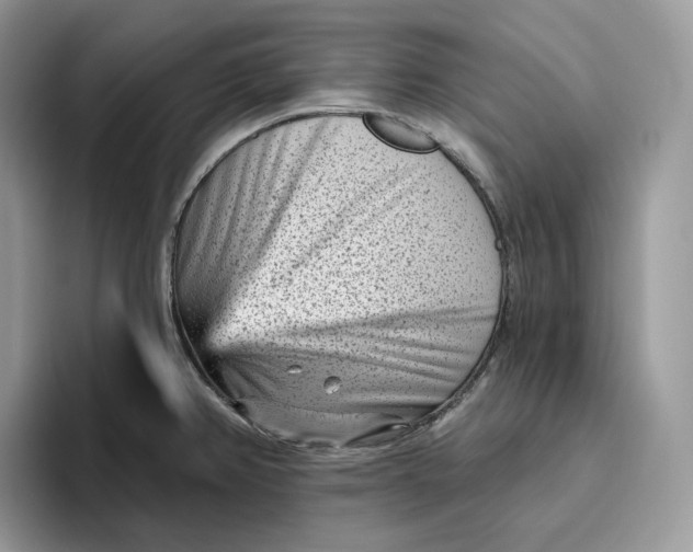 X0000095961382200802011113