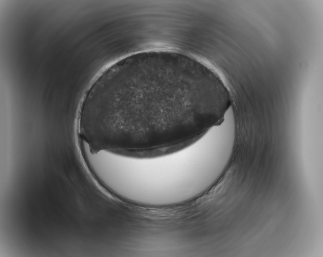 X0000095961383200802011113