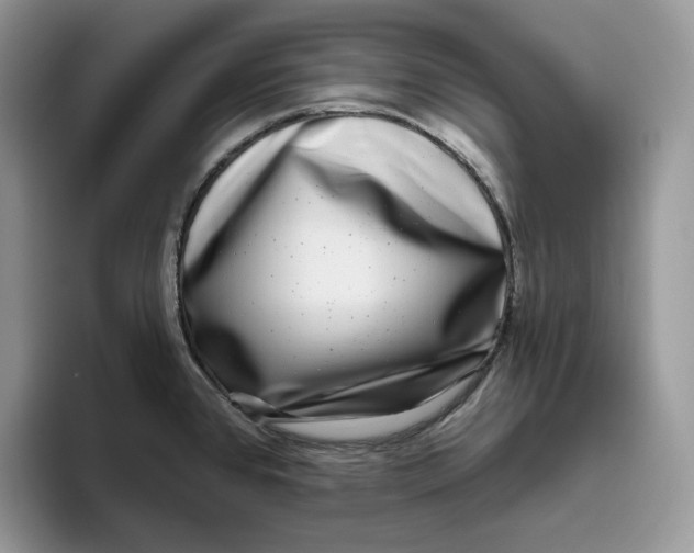 X0000095961384200802011113