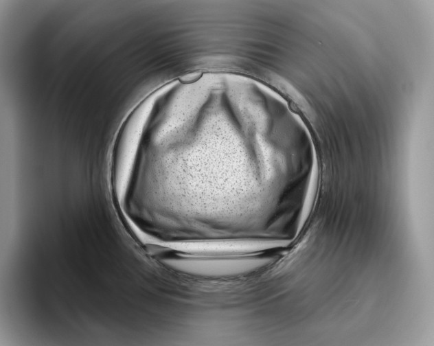 X0000095961386200802011113